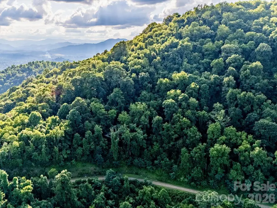 42 High Rock View Drive, Canton, NC 28716 - #3