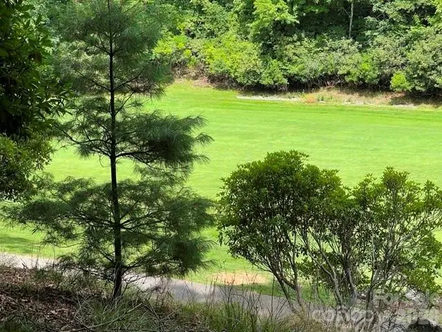 222 Sedi Lane, Brevard, NC 28712 - #2