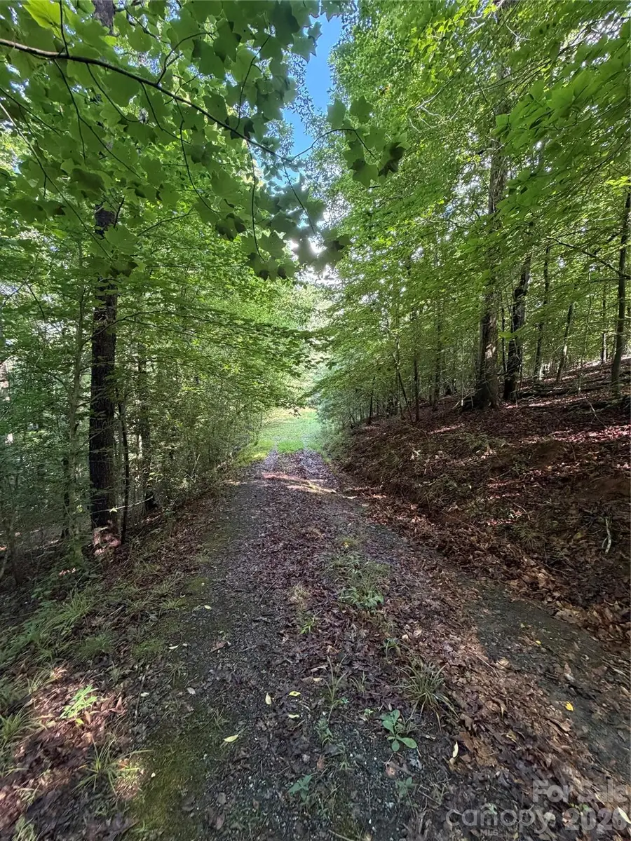0 Greenhill Farms Drive #15, Rutherfordton, NC 28139 - #3