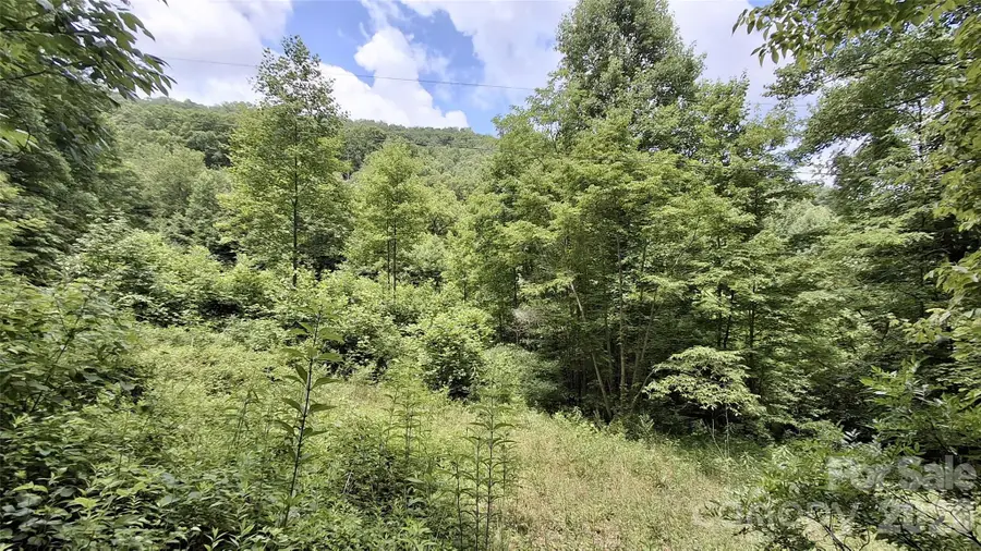 0 Dry Creek Road, Robbinsville, NC 28771 - #3