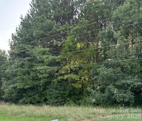 Lot 1 Mathis Church Road, Catawba, NC 28609 - #1