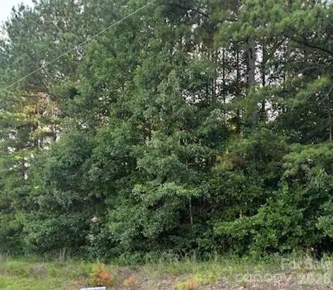 Lot 2 Mathis Church Road, Catawba, NC 28609 - #1
