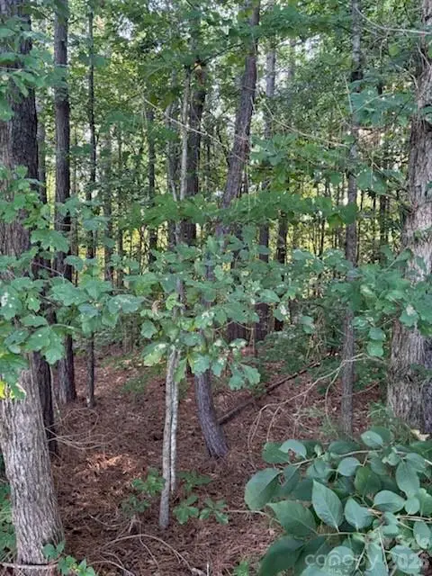 Lot 2 Mathis Church Road, Catawba, NC 28609 - #2