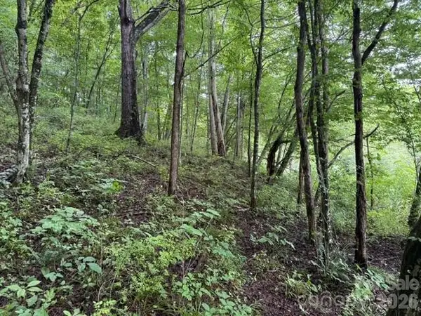 TBD Meadow Fork Road, Hot Springs, NC 28743