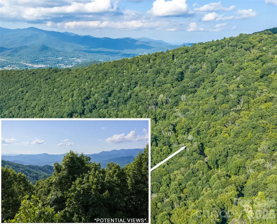 1043 Moss Creek Lane #69, Swannanoa, NC 28778 - #2