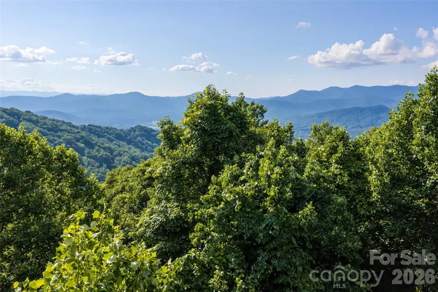 1043 Moss Creek Lane #69, Swannanoa, NC 28778 - #3