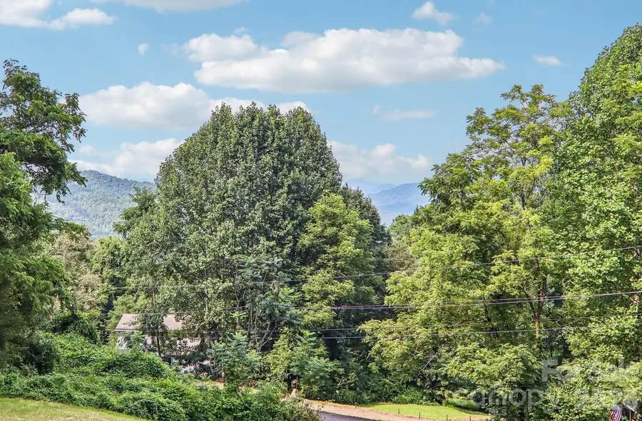 1064 Point Of View Drive, Waynesville, NC 28785 - #3