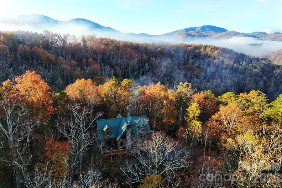 3815 Bat Cave Road, Old Fort, NC 28762 - #3
