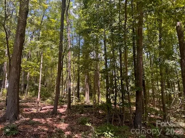 00 Twin Lane, Lancaster, SC 29720 - #2