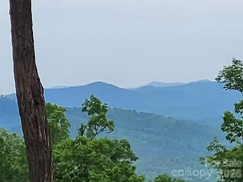Lot 45 Ridgecrest Drive, Lake Lure, NC 28746 - #1