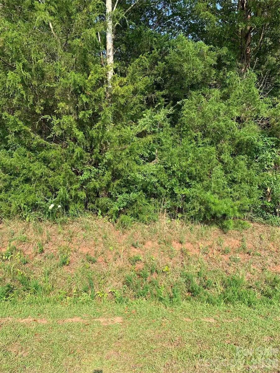 0 Rock House Road, Blacksburg, SC 29702 - #3