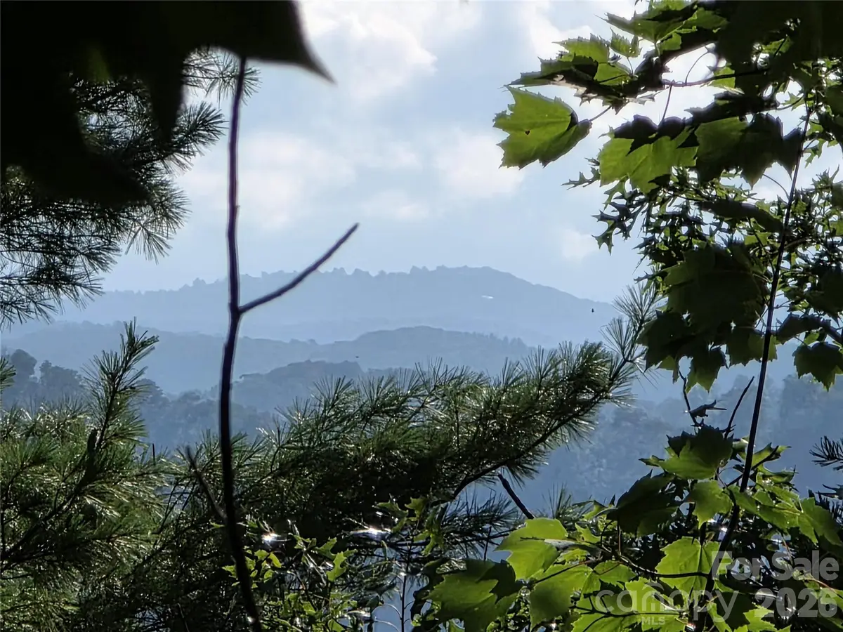 Lot 73 Fawn Lane, Marion, NC 28752 - #1