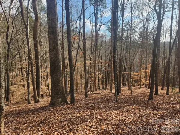 Lot 83 Walnut Lane, Lake Lure, NC 28746