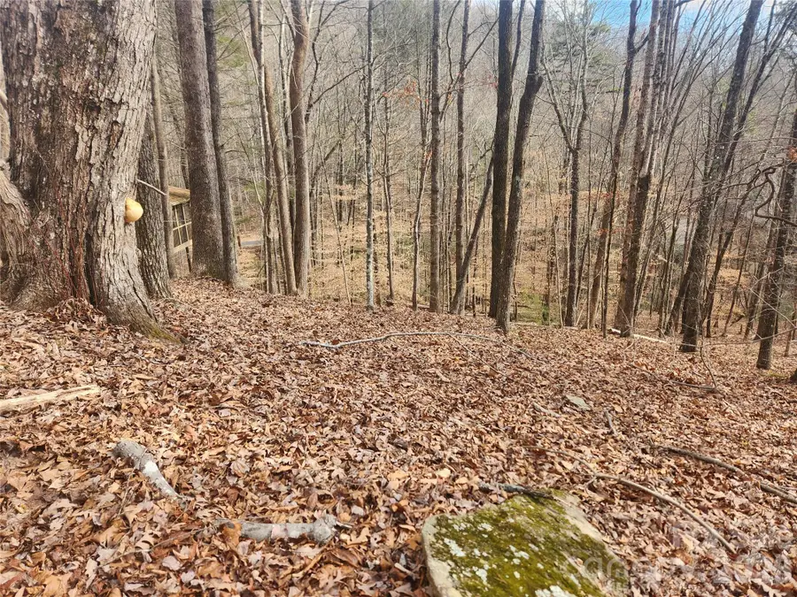 Lot 83 Walnut Lane, Lake Lure, NC 28746 - #2
