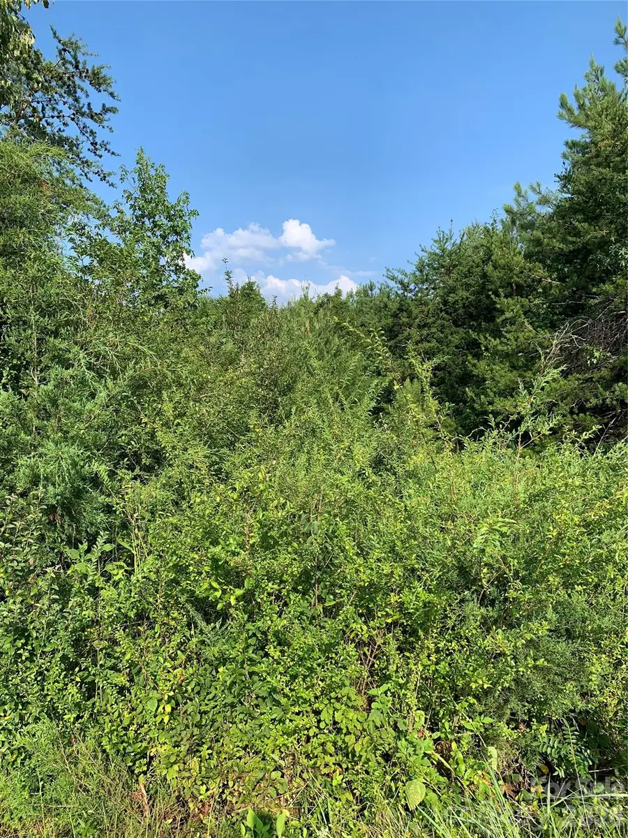 0 Rock House Road, Blacksburg, SC 29702 - #3
