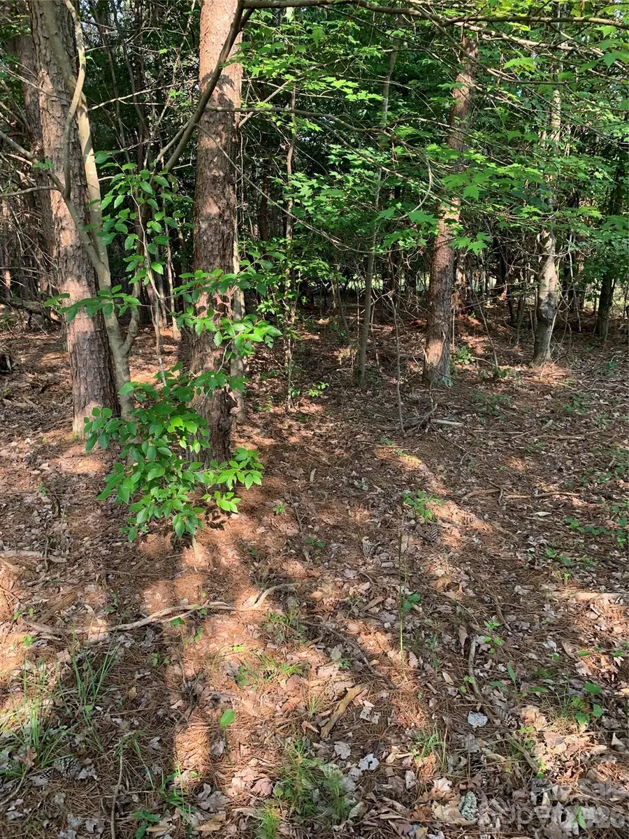 0 Rock House Road, Blacksburg, SC 29702 - #3