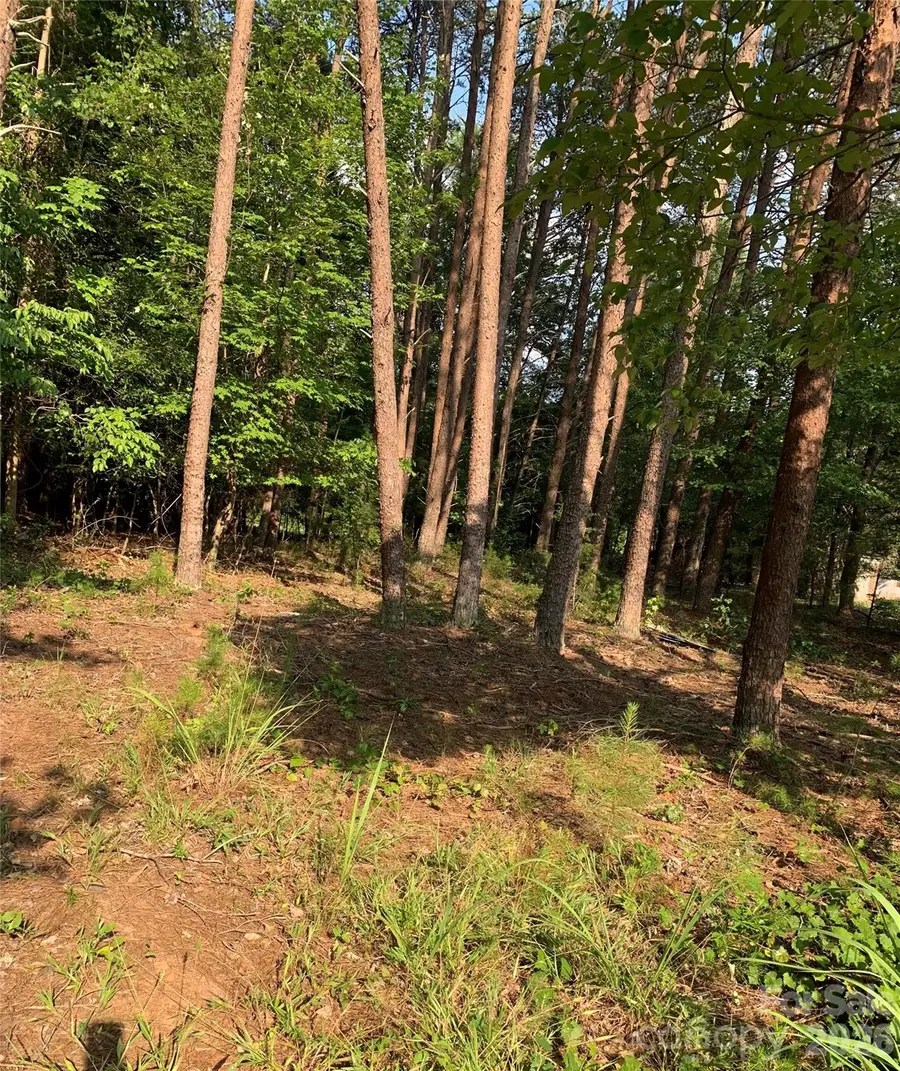 0 Rock House Road, Blacksburg, SC 29702 - #3