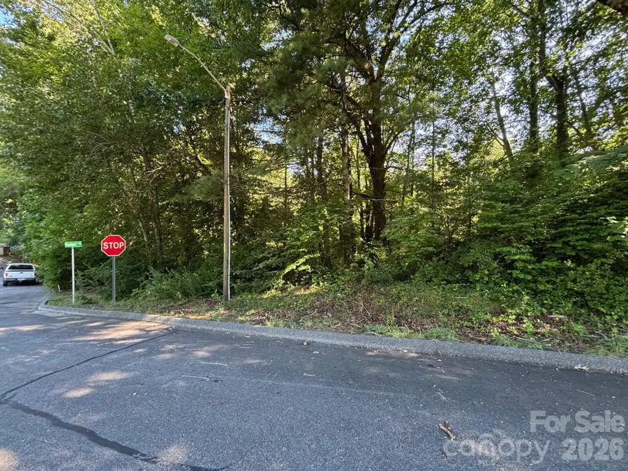 V/L Woodland Drive #11, Marion, NC 28752 - #2