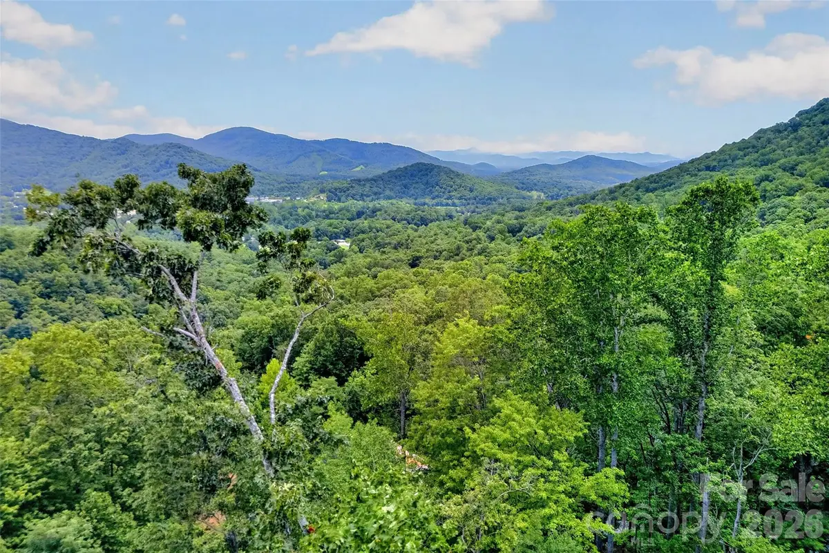 16 Nellie Bell Lane, Swannanoa, NC 28778 - #1