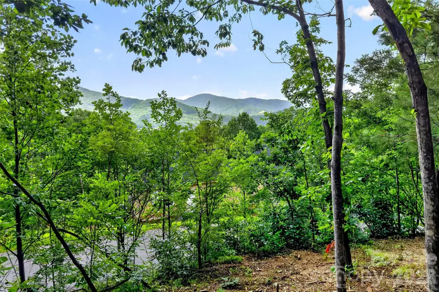 16 Nellie Bell Lane, Swannanoa, NC 28778 - #2