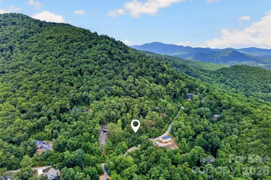 16 Nellie Bell Lane, Swannanoa, NC 28778 - #3
