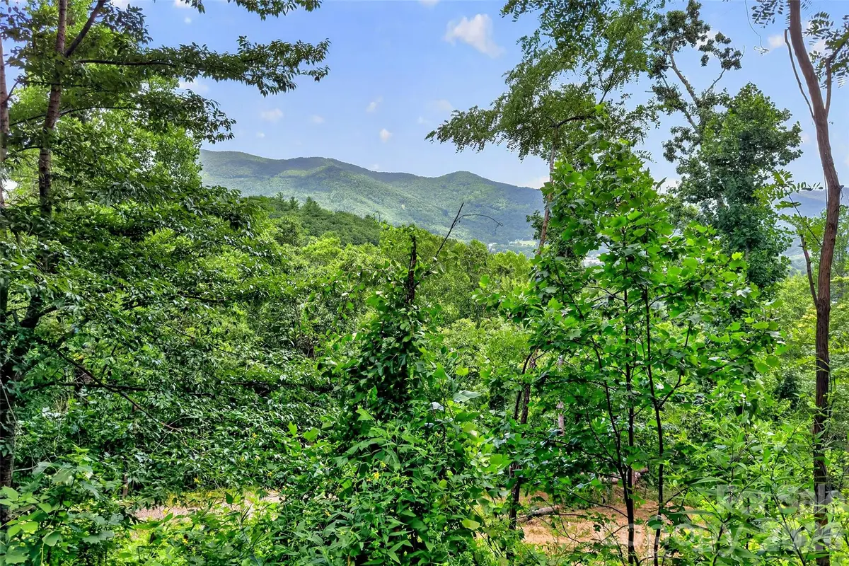 32 Nellie Bell Lane, Swannanoa, NC 28778 - #1
