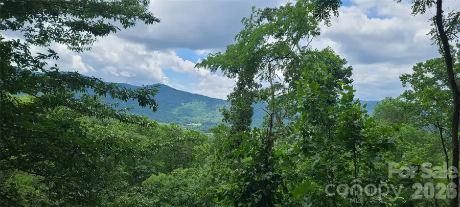32 Nellie Bell Lane, Swannanoa, NC 28778 - #3