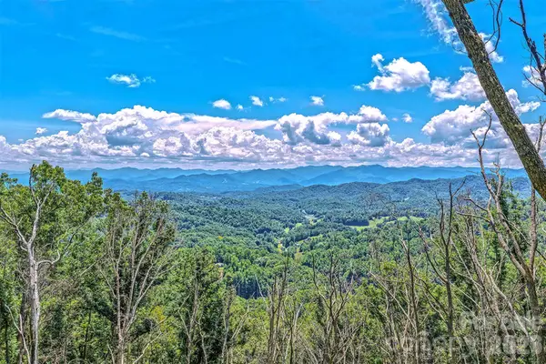 294 Red Knob Lane, Marshall, NC 28753