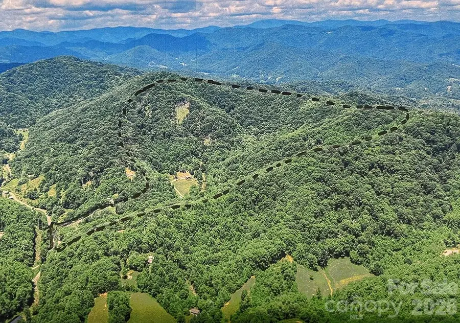 294 Red Knob Lane, Marshall, NC 28753 - #3