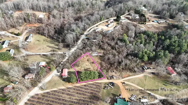 0 Dudley Road, Flat Rock, NC 28731