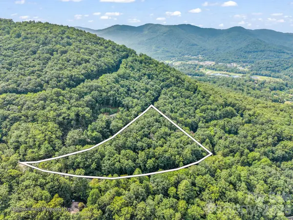 99999 Harrison Hill Road #15, Swannanoa, NC 28778