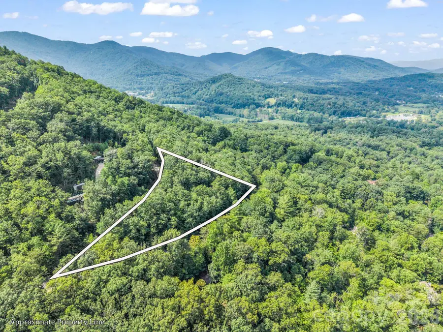 99999 Harrison Hill Road #15, Swannanoa, NC 28778 - #2