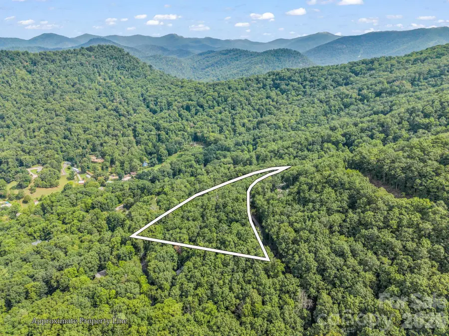 99999 Harrison Hill Road #15, Swannanoa, NC 28778 - #3