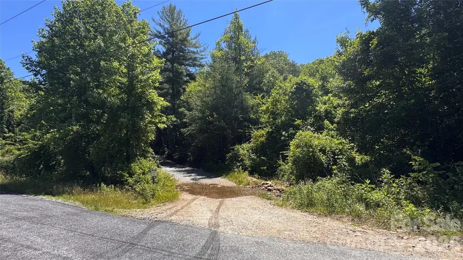 1802 Off Sr None, Saluda, NC 28773 - #3