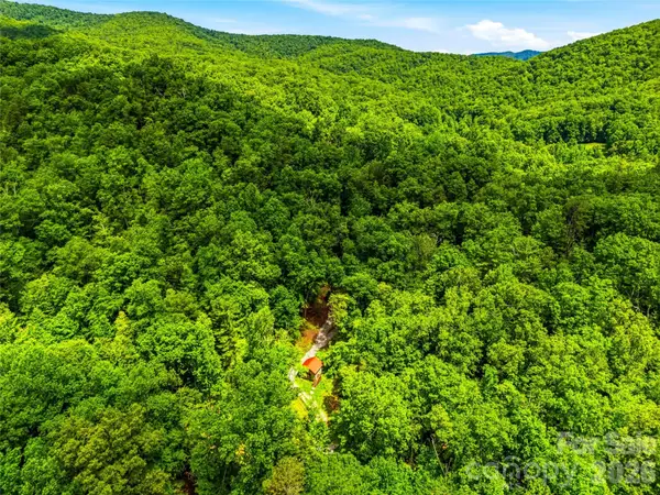 45 Watagnee Trail, Horse Shoe, NC 28742