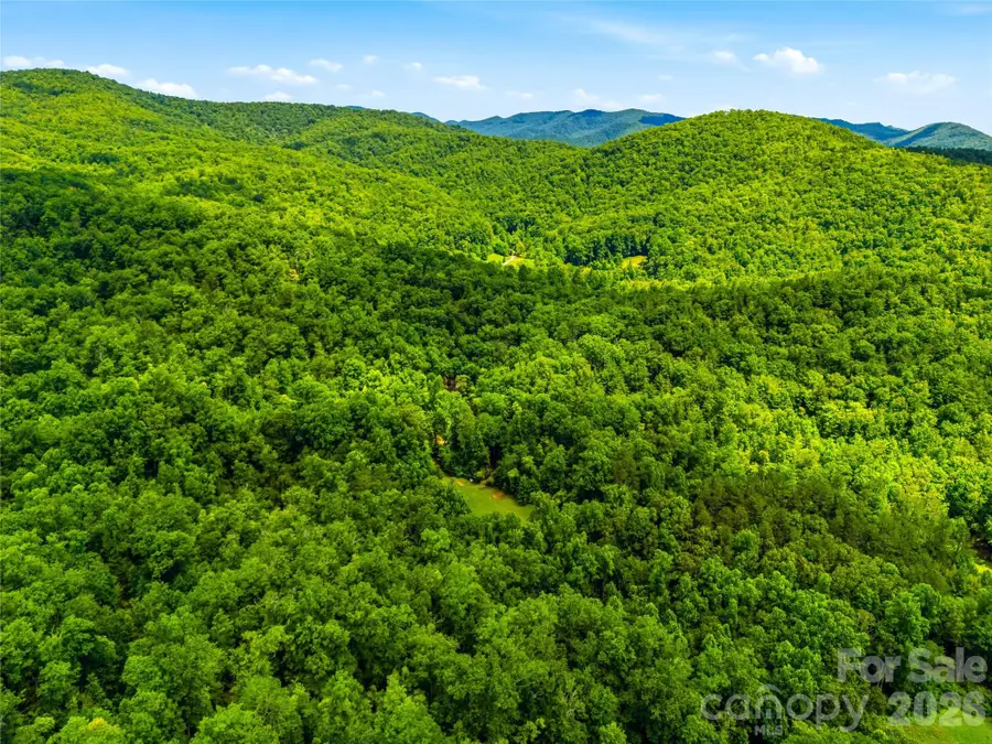 45 Watagnee Trail, Horse Shoe, NC 28742 - #3