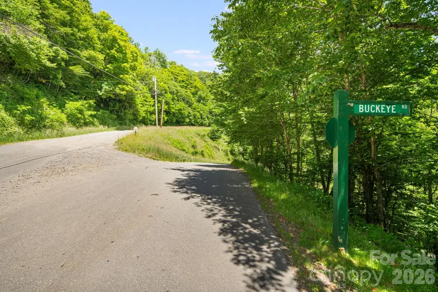 10 Buckeye Road #10, Mars Hill, NC 28754 - #2