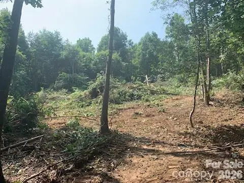 1 Old Vashti Road, Taylorsville, NC 28681 - #2