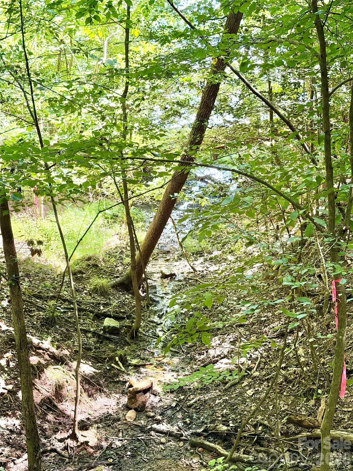 283 Rivercliff Drive, Stony Point, NC 28678 - #1