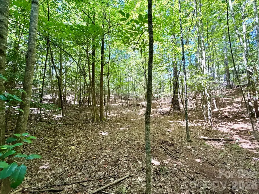 283 Rivercliff Drive, Stony Point, NC 28678 - #3