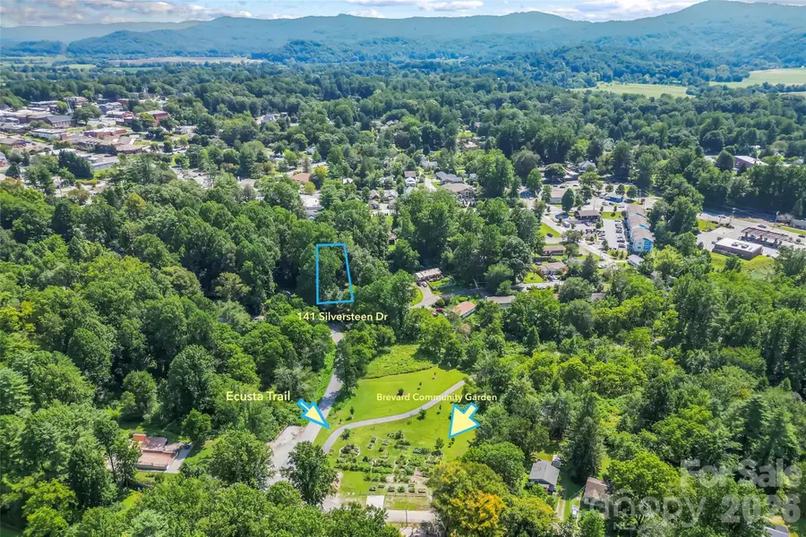 141 Silversteen Drive, Brevard, NC 28712 - #2