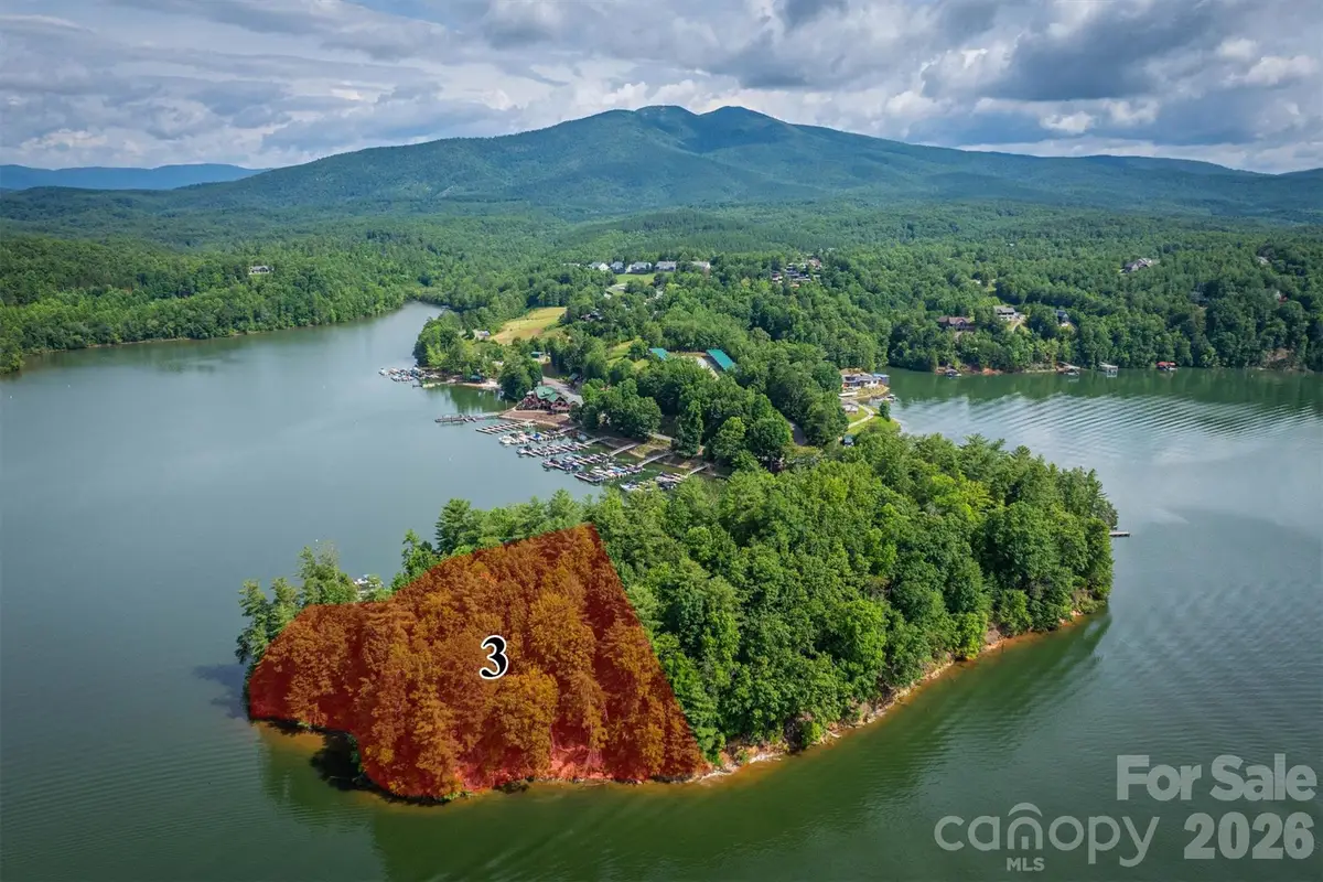 802 Marina Drive #3, Nebo, NC 28761 - #1