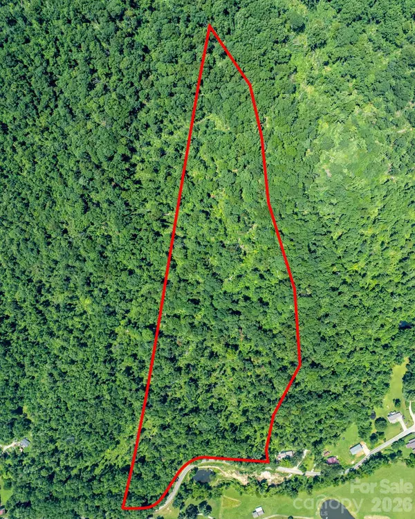 99999 Moody Cove Road #2, Weaverville, NC 28787