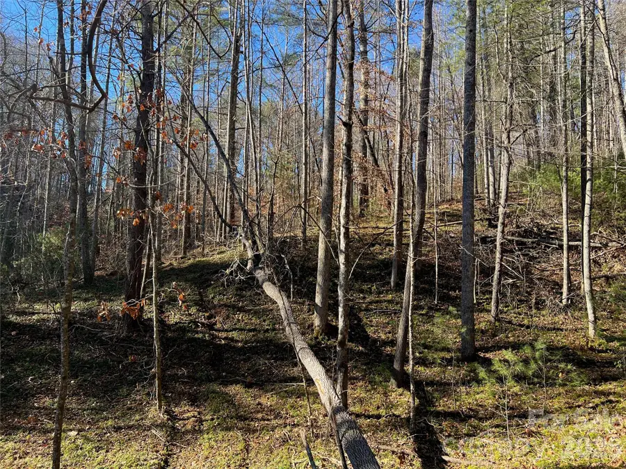 147 Falling Leaves Lane, Hendersonville, NC 28792 - #2