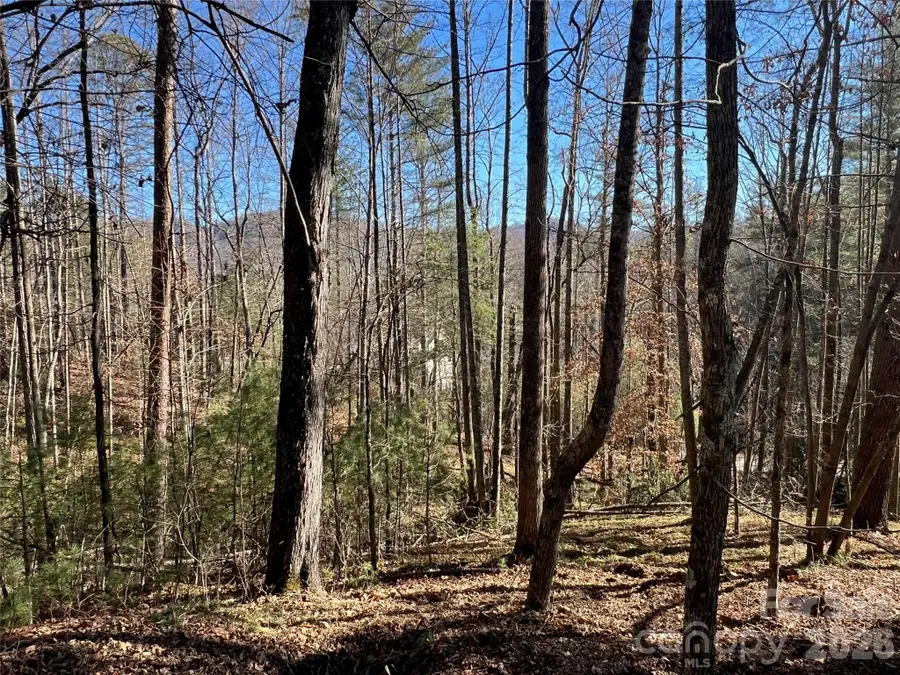 147 Falling Leaves Lane, Hendersonville, NC 28792 - #3