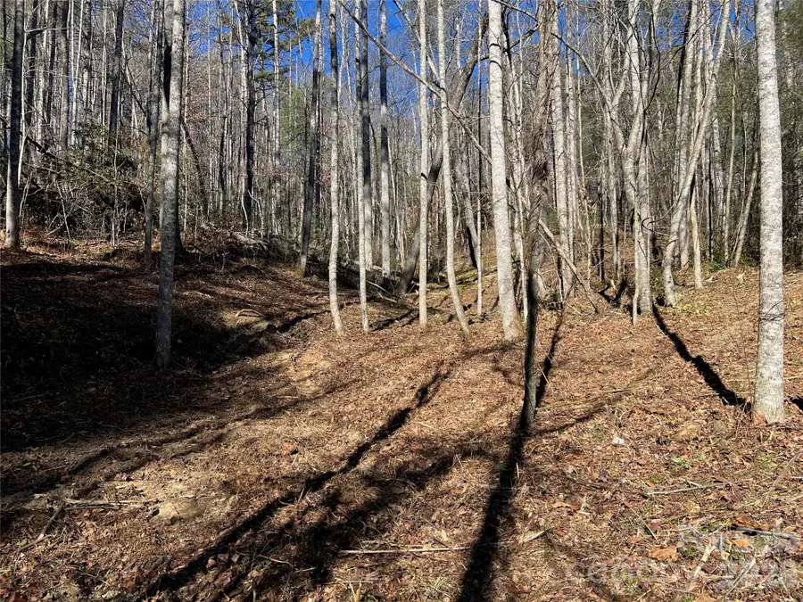 181 Falling Leaves Lane, Hendersonville, NC 28792 - #2