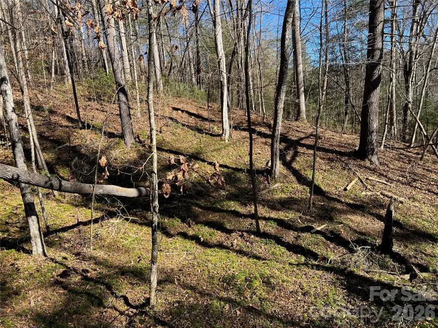 181 Falling Leaves Lane, Hendersonville, NC 28792 - #3