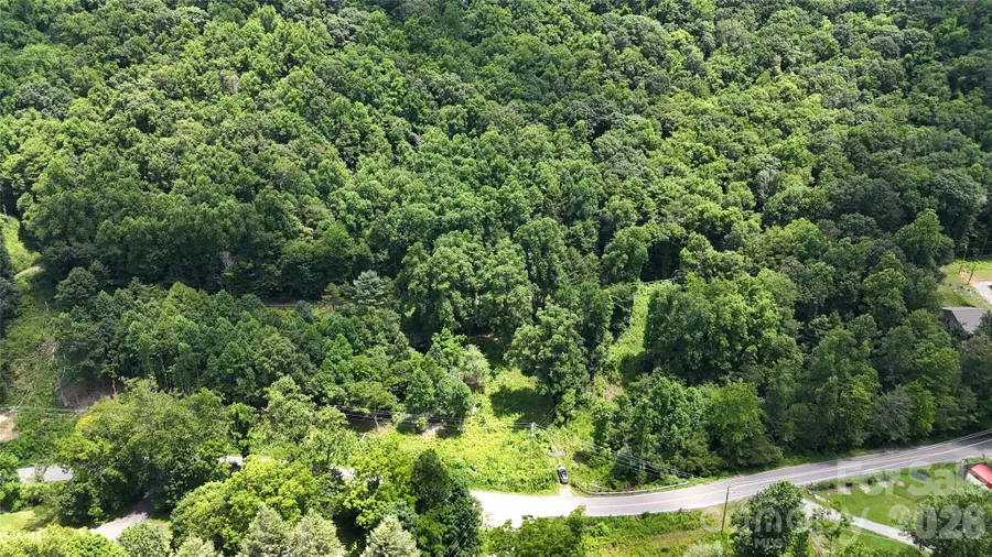TBD Paint Fork Road, Barnardsville, NC 28709 - #3