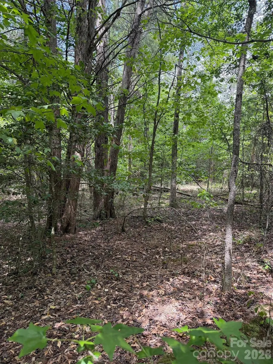 TBD Sam Walker Road, Catawba, SC 29704 - #3
