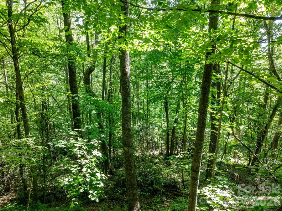 8 White Birch Court #424, Black Mountain, NC 28711 - #2